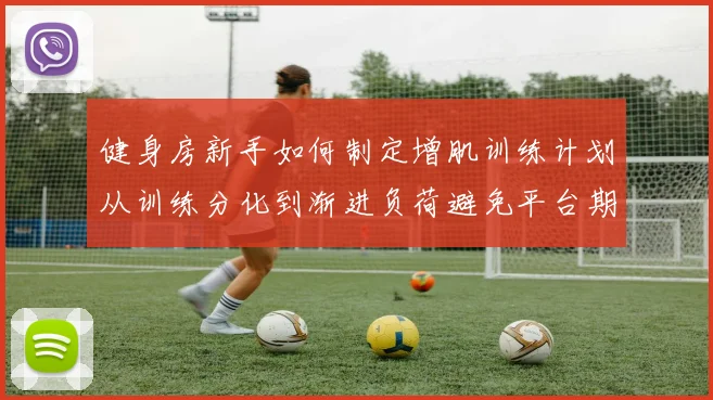 健身房新手如何制定增肌训练计划从训练分化到渐进负荷避免平台期