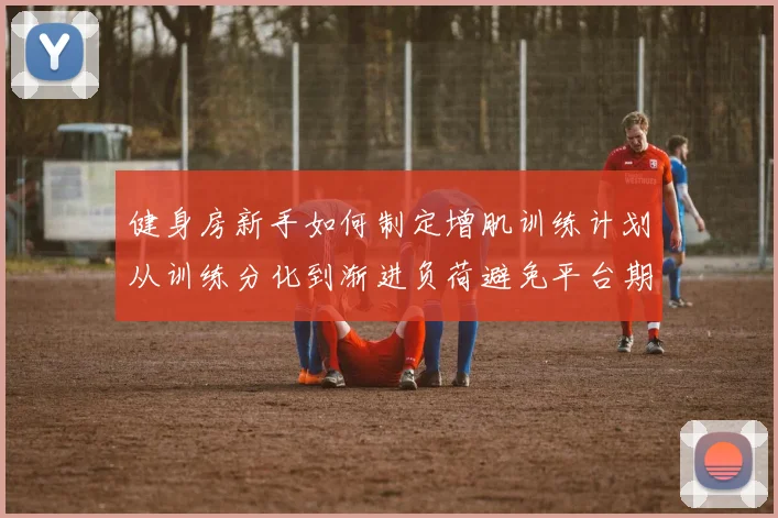 健身房新手如何制定增肌训练计划从训练分化到渐进负荷避免平台期